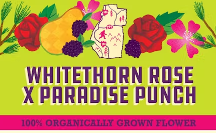 Paper Crane Whitethorn Rose x Paradise Punch 0.5g 2pk Preroll