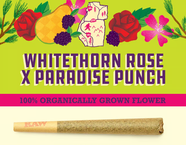 Paper Crane Whitethorn Rose x Paradise Punch 1g Preroll