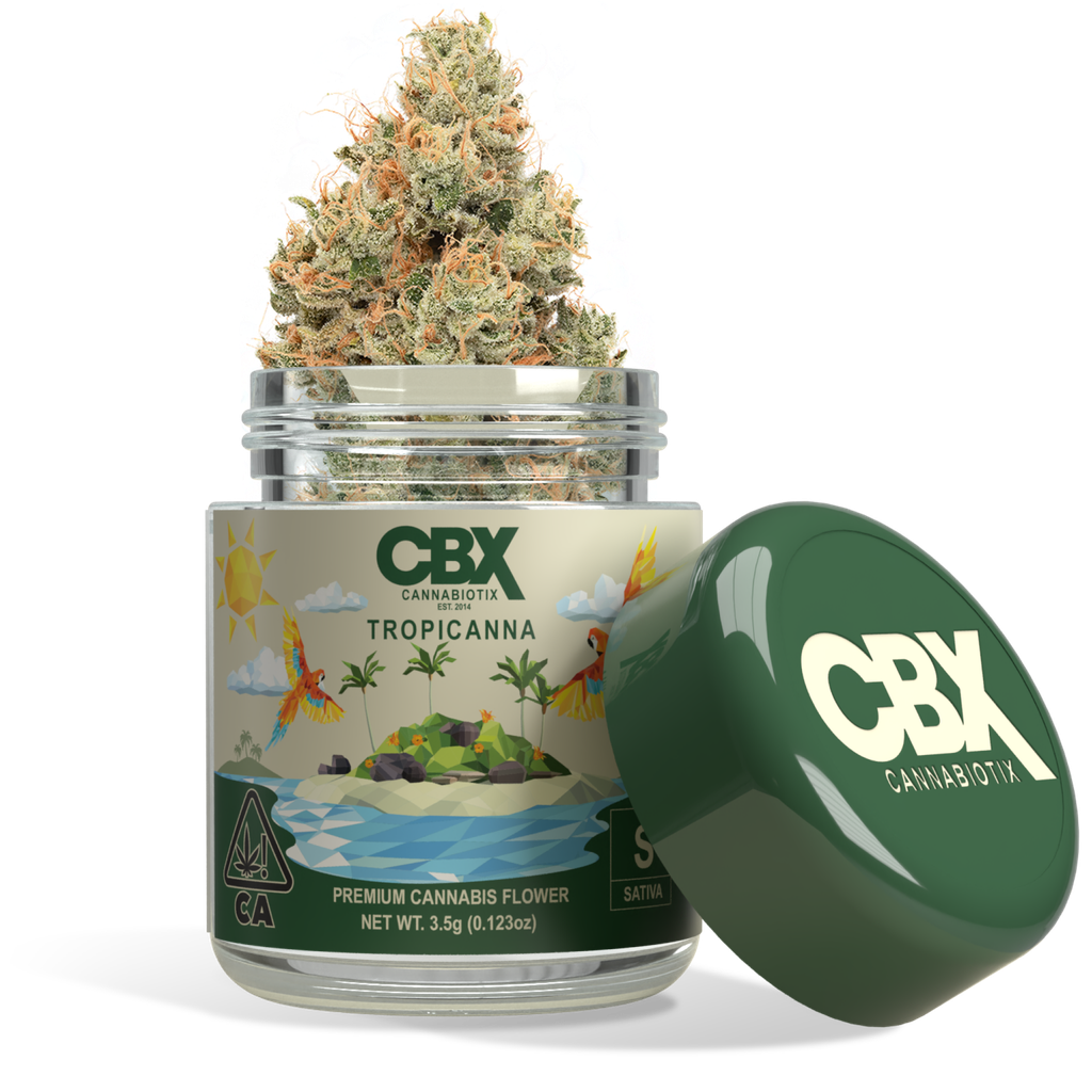 CBX | Indoor Flower | Tropicanna | 3.5g